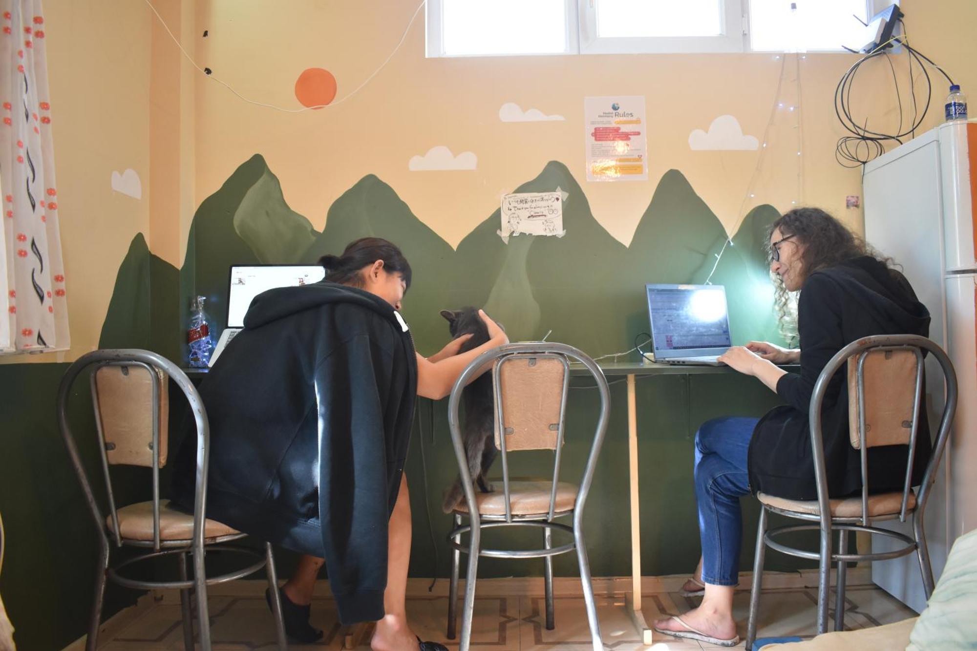 Harmony Backpackers Hostel Batum Dış mekan fotoğraf